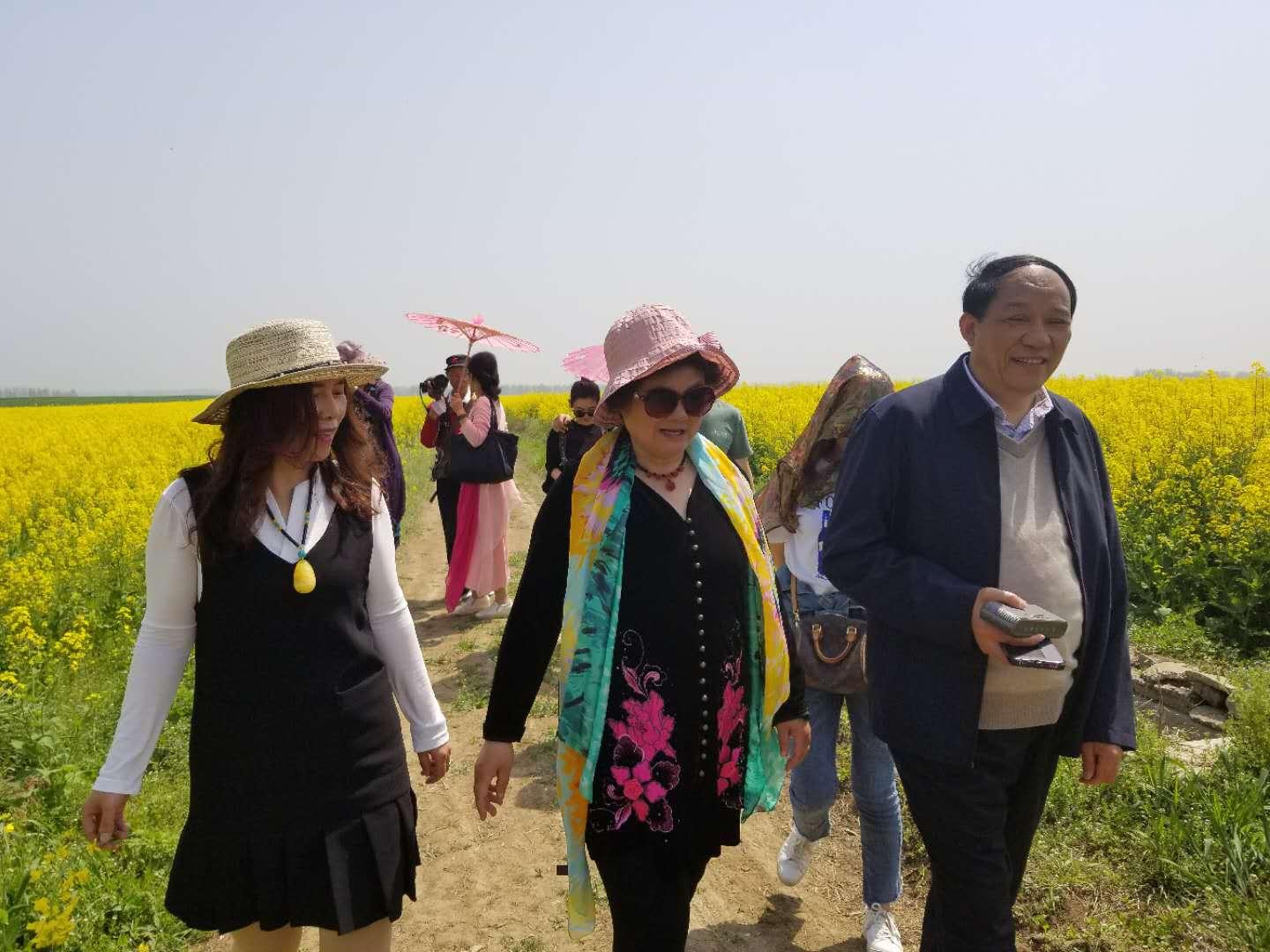 海8情罗与们快俄费么次丽真红件，深度解析与SEO优化策略，海8情罗与快俄费，深度解析及SEO优化策略探讨