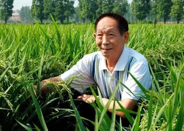荣耀与责任