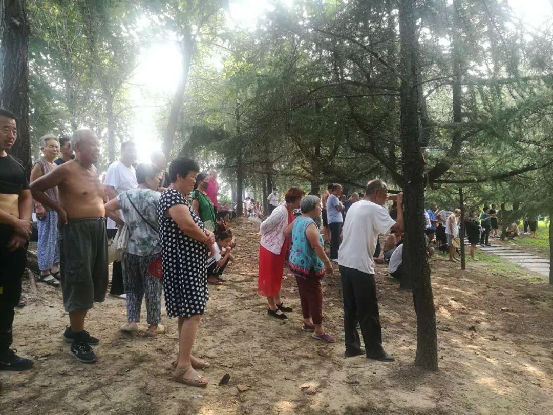 揭秘零出事战，一者系背后的秘密与策略，揭秘零出事战背后的秘密策略与战术