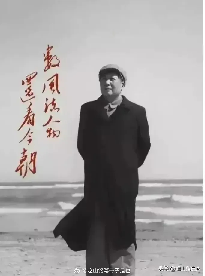 条武兵肖来国，一位传奇人物的多彩人生，条武兵肖来国，传奇人生的多彩篇章