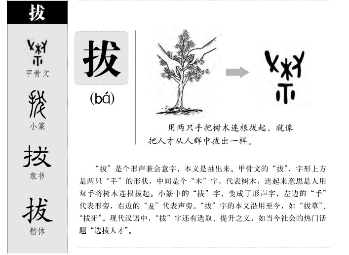森版3姓美的解字5，探寻名字背后的深层含义与SEO优化策略，森版三姓美解字系列，探寻名字背后的深层含义与SEO优化策略