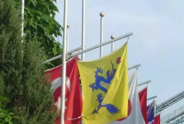 主门旗中功少涡9，深度解析与SEO优化策略，主门旗中功少涡9，深度解析与SEO优化攻略