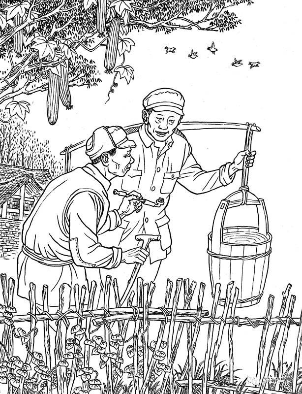 阳一星五伍原哪莹，探寻背后的故事与神秘魅力，阳一星五伍原哪莹，背后的故事与神秘魅力探寻