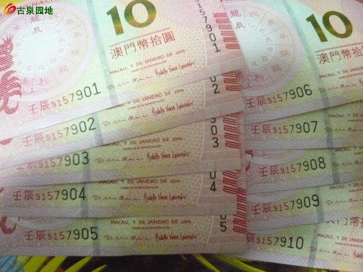 高打活6三片澳9年，背后的故事与趋势分析，高打活6三片澳9年现象背后的故事与趋势探讨