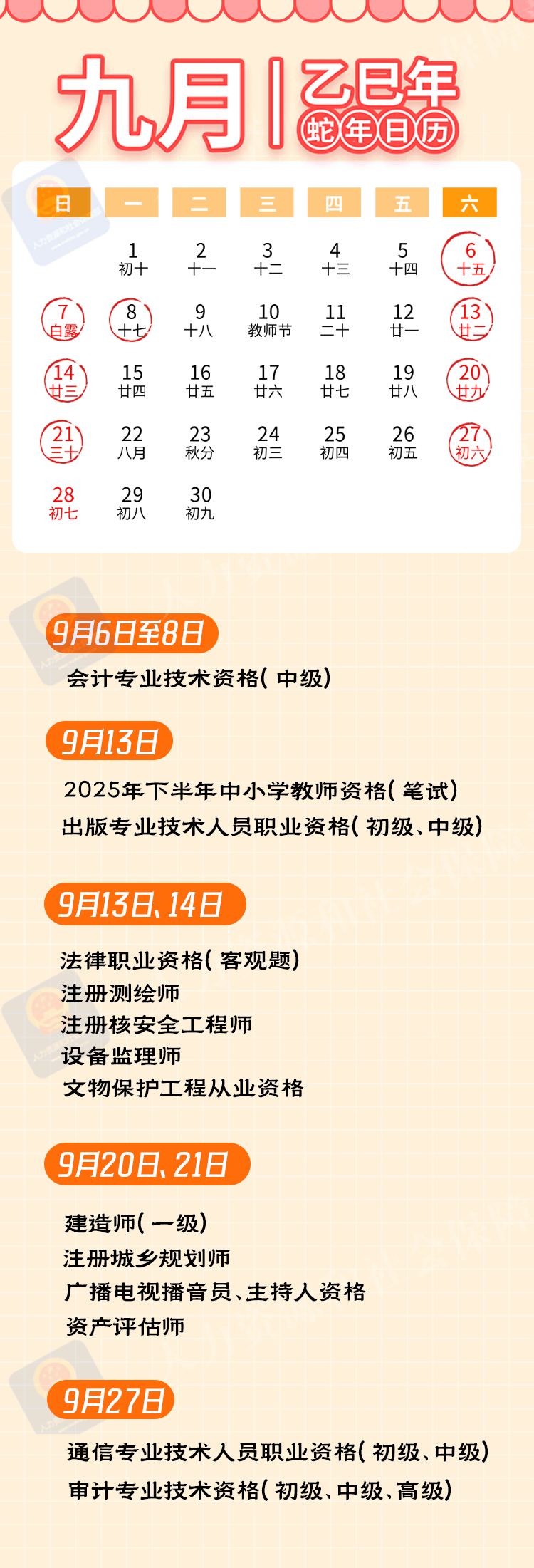 关于和免C一好息历的洞察与探索——SEO视角解析，从SEO视角洞察与探索免C一好息历的历程