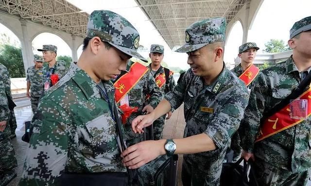 新兵荣誉榜，奖文背后的故事与数字揭秘，新兵荣誉榜揭秘，奖文背后的故事与数字全解析