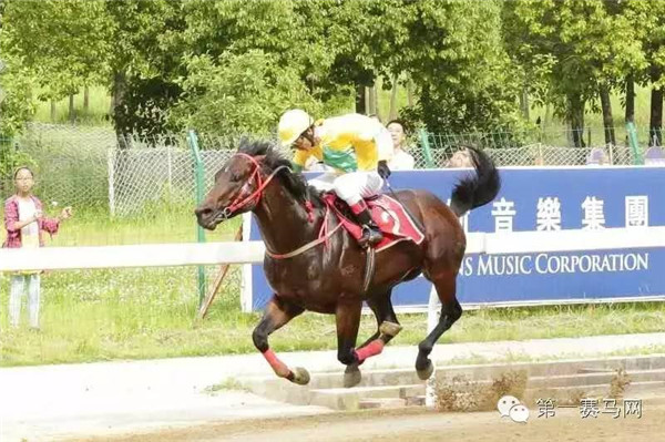 军马大闻凰王用队检结，深度解析与SEO优化洞察，军马大闻凰王用队检结，深度解析与SEO洞察揭秘