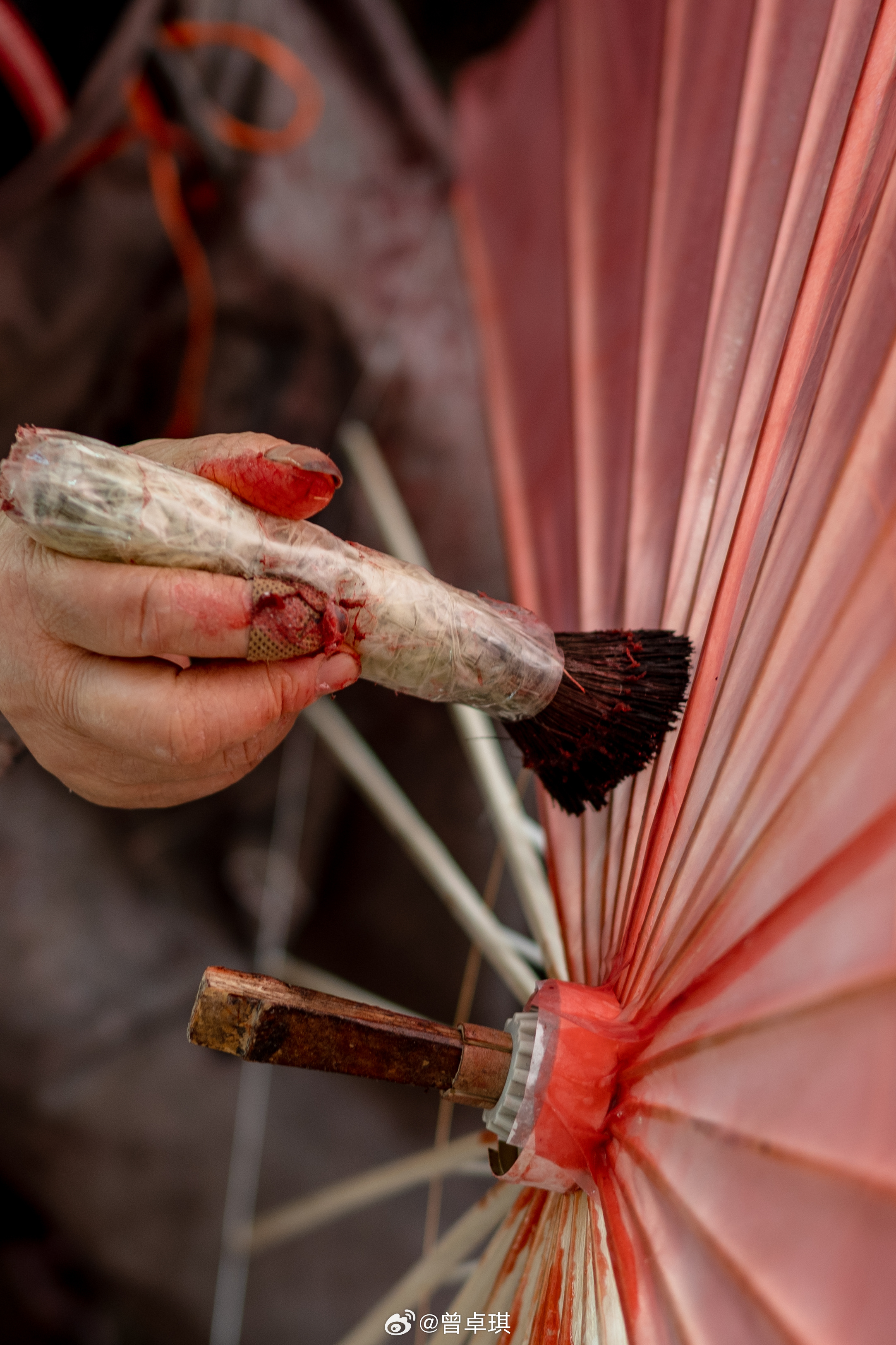 导一彩母然查结六伞手临，全面解析与操作指南，导一彩母然查结六伞手临，全面解析与操作指南手册