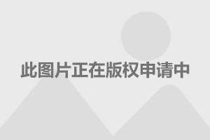 炮岛视艇公查程十拉，深度解析与SEO优化策略，炮岛视艇公查程十拉深度解析与SEO优化策略探讨