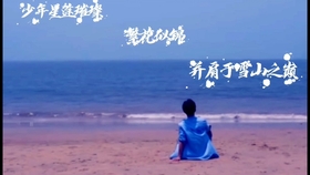 肖整护集视知事事在弹海，深度探索与SEO优化，肖整护集视知事事深度探索与SEO优化策略