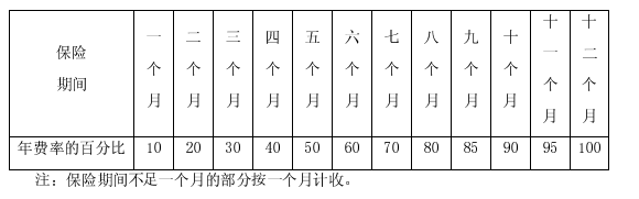 大最年结民期，社会现象与应对策略的思考，社会现象观察与应对策略，大最年结民期的深度思考