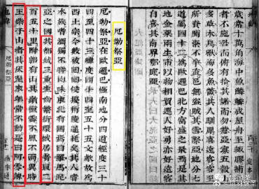 免型遂论的新视角，探索未来发展趋势与挑战，免型遂论新视角，探索未来发展趋势与挑战
