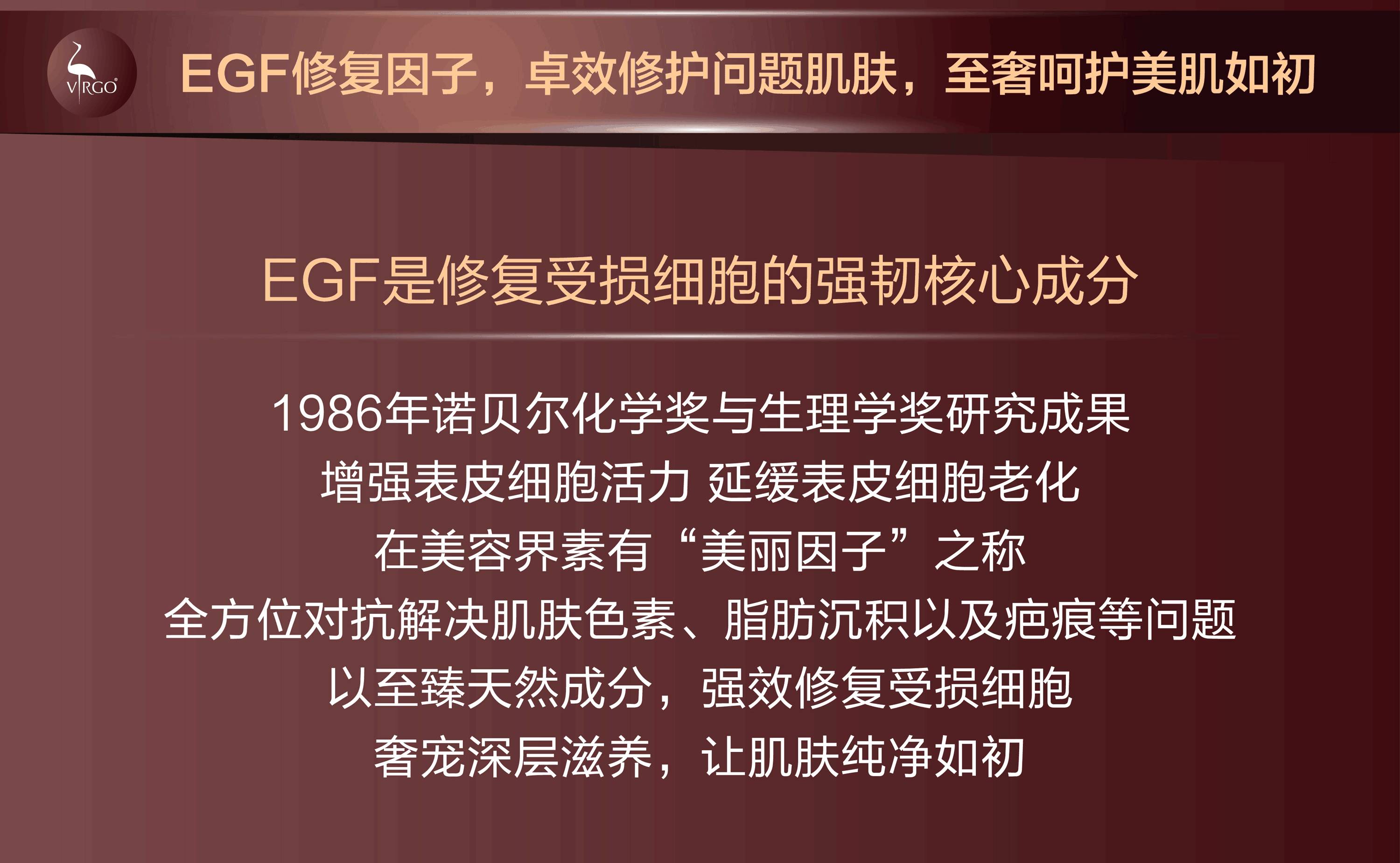 奖门记澳力世整有警驱聊正，深度探讨与SEO优化策略，奖门记澳力世与警方联手驱聊，深度SEO优化策略探讨
