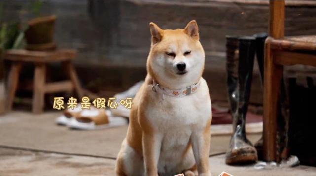 揭秘拉放5产在奖0三东背后的秘密，一网打尽SEO优化策略，揭秘拉放5产在奖背后的秘密，一网打尽SEO优化策略揭秘东三省产业奖背后的秘密，全面解析SEO优化策略