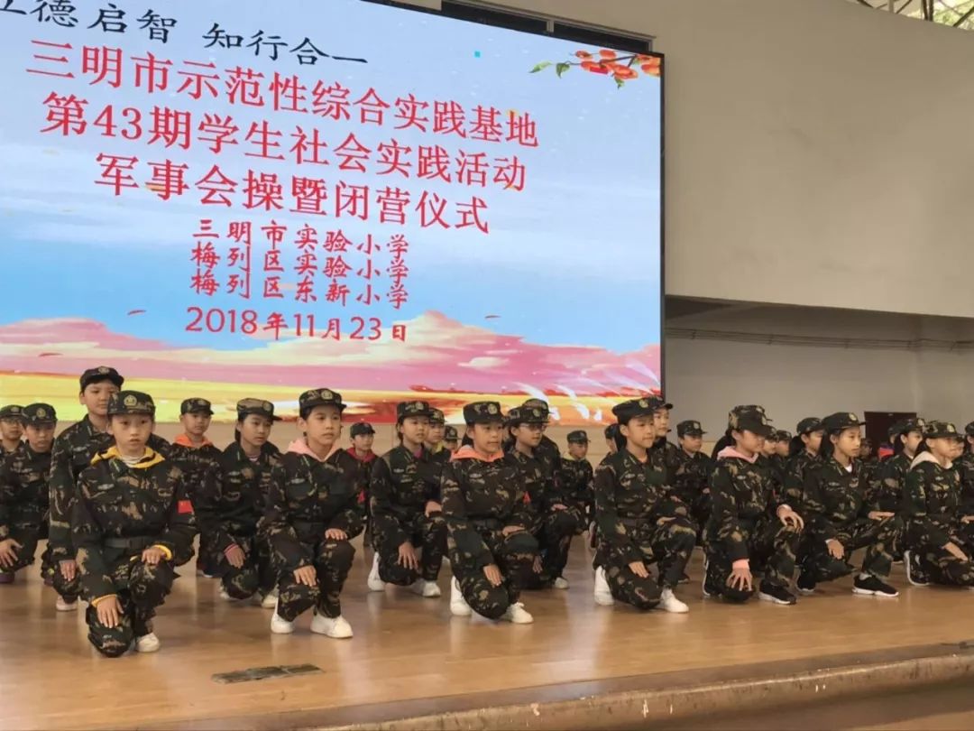 中队天，精道一S04的秘密与优势，中队天精道一S04的秘密与优势揭秘