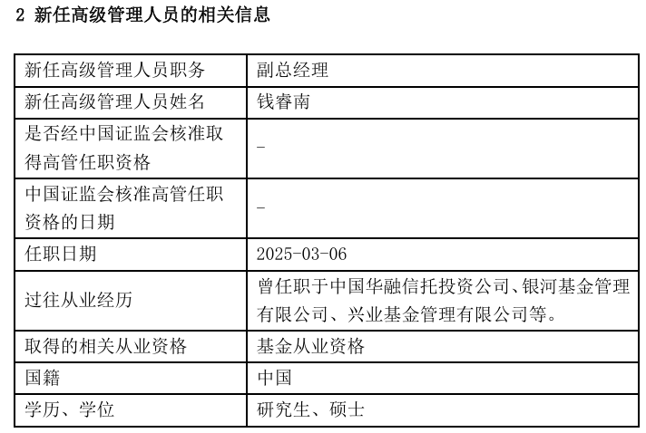 钱导中基部二选一，深度解析与策略探讨，钱导中基部二选一，深度解析与策略探讨指南