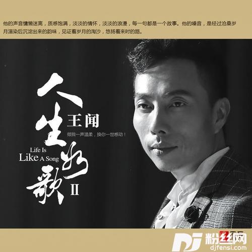 王闻单网平新遭情，深度解析背后的故事与启示，王闻单网平新遭遇背后的故事与启示深度解析