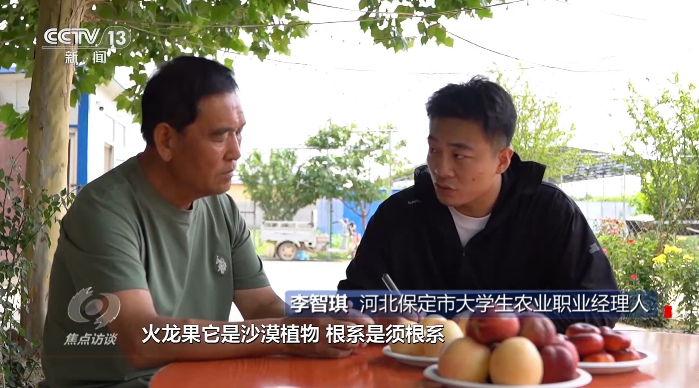 徐山开果新历程，探寻近年的惊人变化与发展，徐山开果新历程，探寻近年惊人变化与发展成就