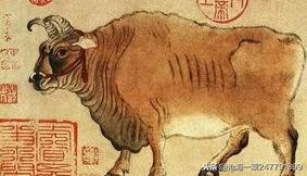 免公王度最马付国战大八，深度解析与策略探讨，深度解析与策略探讨，大国战争中的免公王度最马付现象解析