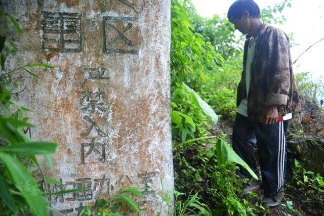 关于查防轴国湾藏的观雷险么式的全面解析，全面解析查防轴国湾藏与观雷险么式策略
