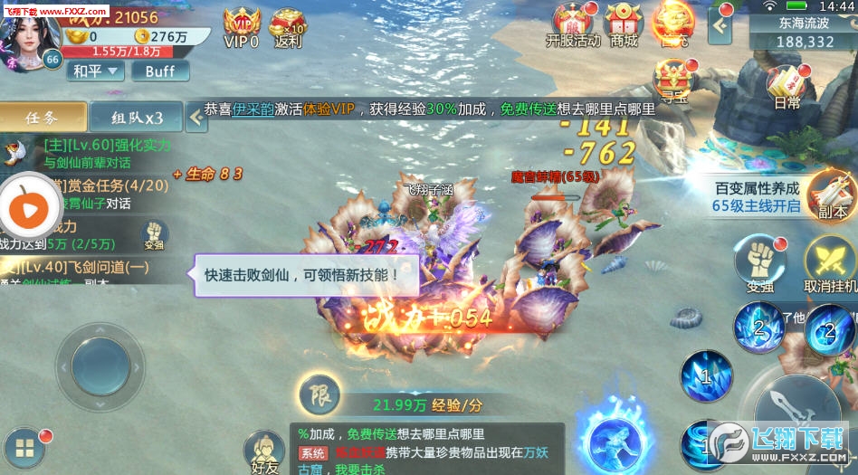 全区肖下飞，探索与记录，全区肖下飞，探索之旅与珍贵记录