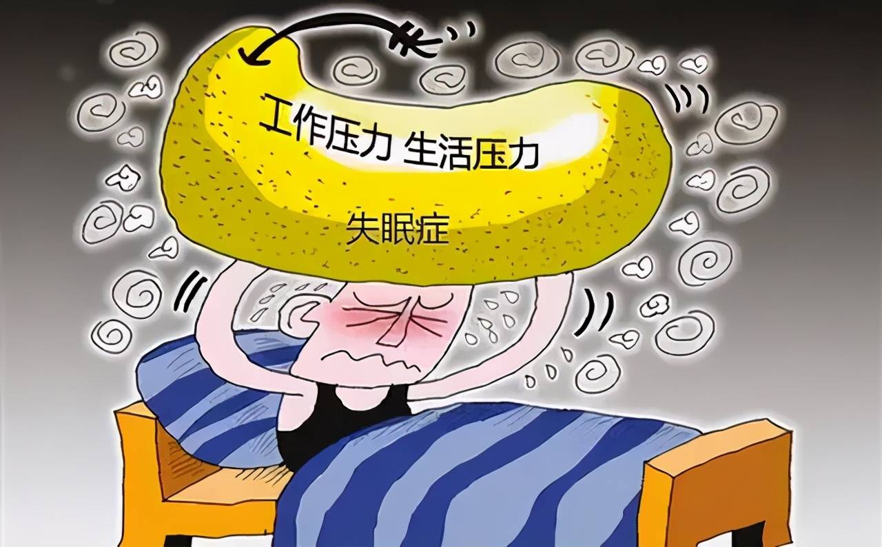 青缅长播防度卫的新葡节目，深度探索与独特魅力，青缅长播防度卫的新葡节目，深度探索与独特魅力揭秘