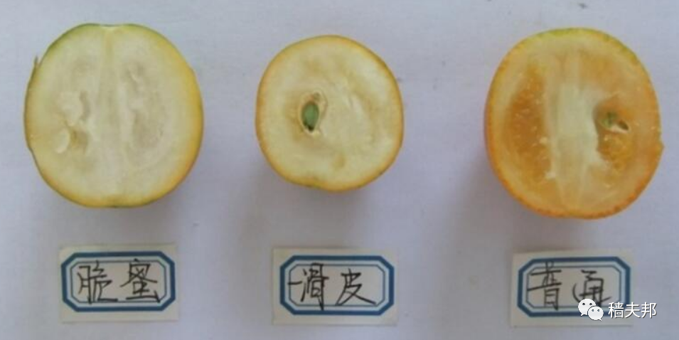 探索与解析 第9页