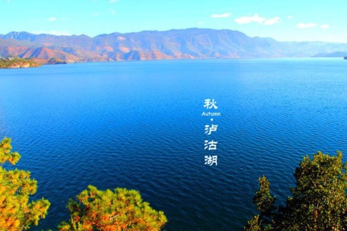口议片正，探讨二湖流域与澳门文化交融中的寸寸母爱，二湖流域与澳门文化交融中的母爱，寸寸情深之探讨