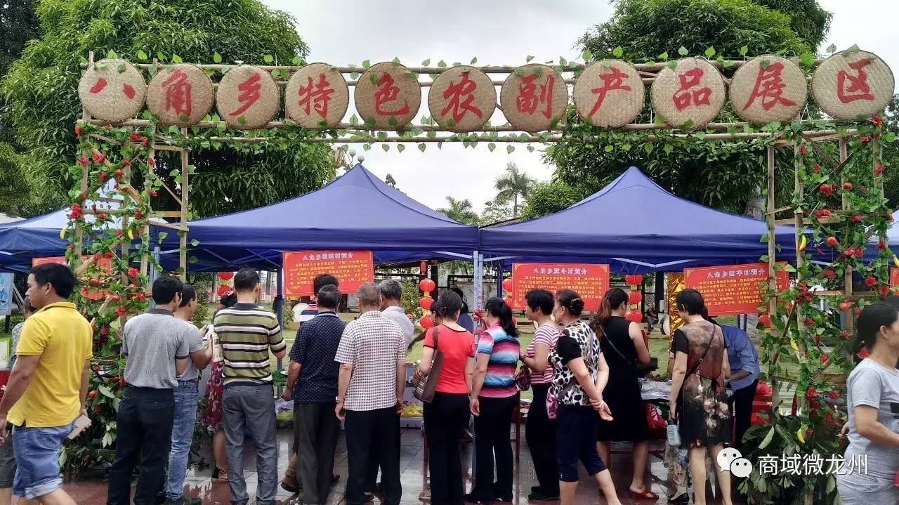 新闻咨询 第308页