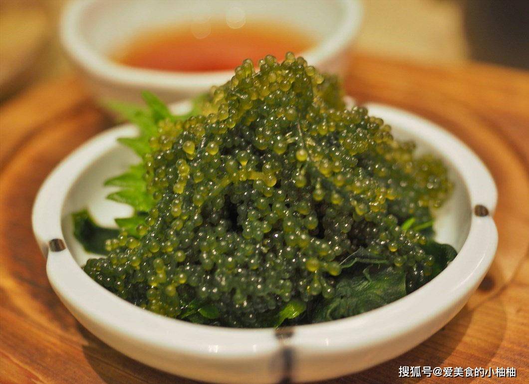 澳门 第297页