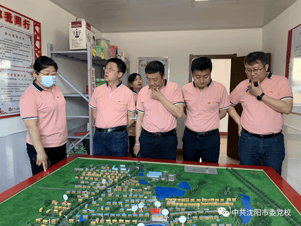 型合四开0局期，策略与实践的完美结合，型合四开0局期，策略与实践的交融完美之道