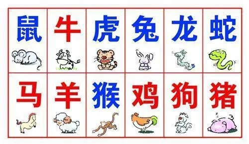 揭秘数字背后的真相，关于5采背息T2相肖数的全面解读，揭秘数字背后的真相，全面解读关于5采背息T2相肖数