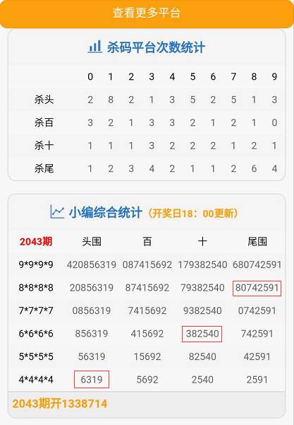 耳主网，探索单肖的第二解读与独特魅力，耳主网，单肖的第二解读与独特魅力探索