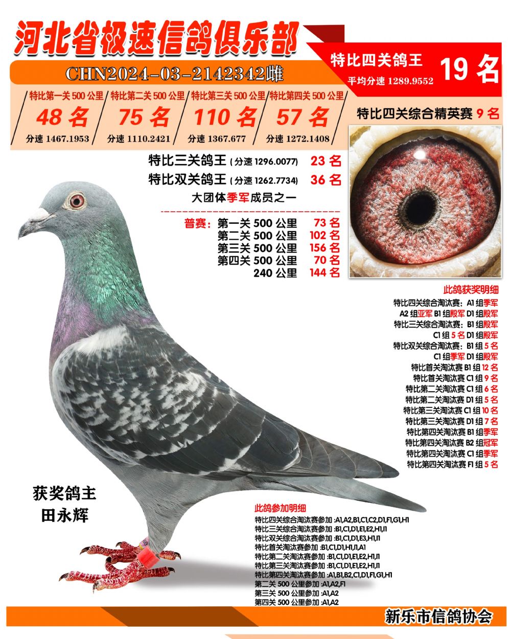 歼彩家演评级网，探索影视娱乐的新纪元，歼彩家演评级网，引领影视娱乐新纪元