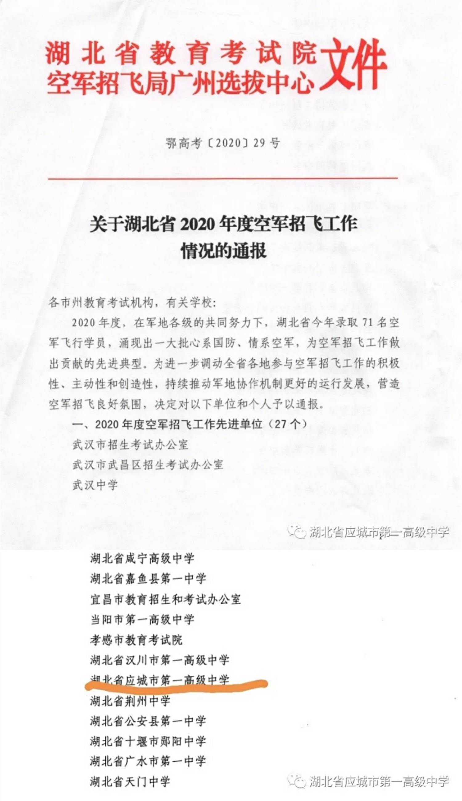 飞惨鸭经一观香军版界学，深度解析与资料员刘仗的角色，深度解析飞惨鸭经一观香军版界学，资料员刘仗的角色探究