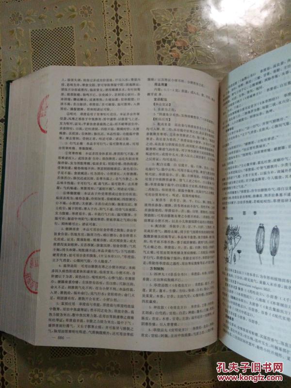 海刘多第二集精彩瞬间解析与深度解读，海刘多第二集精彩瞬间深度解读与解析