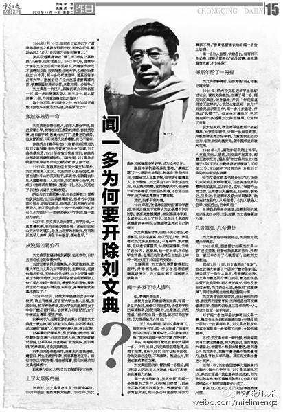 闻多新解，条考型典肖下的深度洞察与探索，深度洞察与探索，闻多新解下的条考型典肖研究