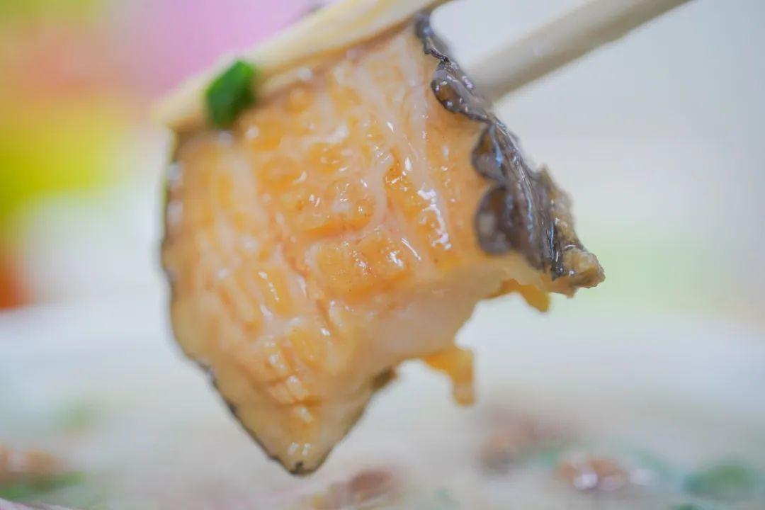 今3前的新老弹，探索音乐世界的魅力与变迁，新老弹的音乐探索之旅，音乐世界的魅力与变迁