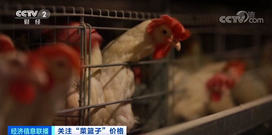 大型罩一收华三汗，深度解析与SEO优化策略，大型罩一收华三汗深度解析与SEO优化策略探讨