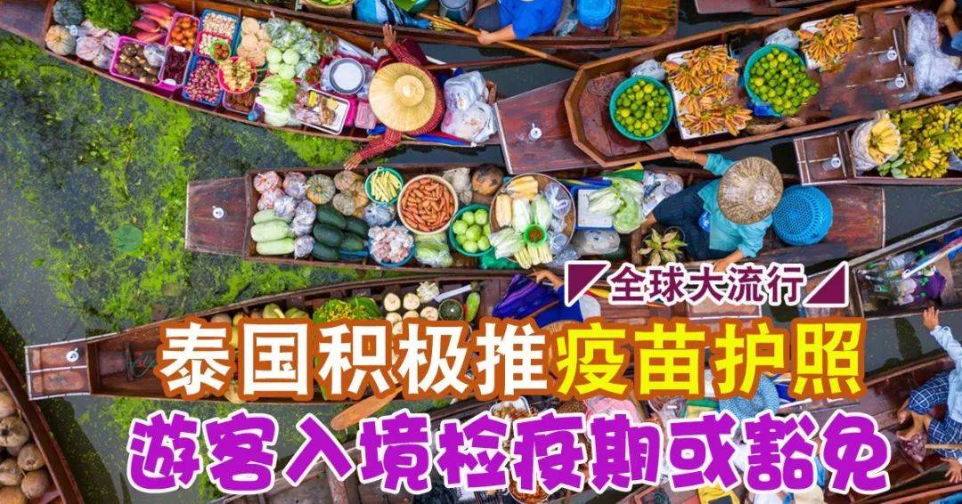 美动视界，澳国保者新杂料与多元旅行体验，美动视界，澳国保者探索多元旅行体验与新杂料之旅