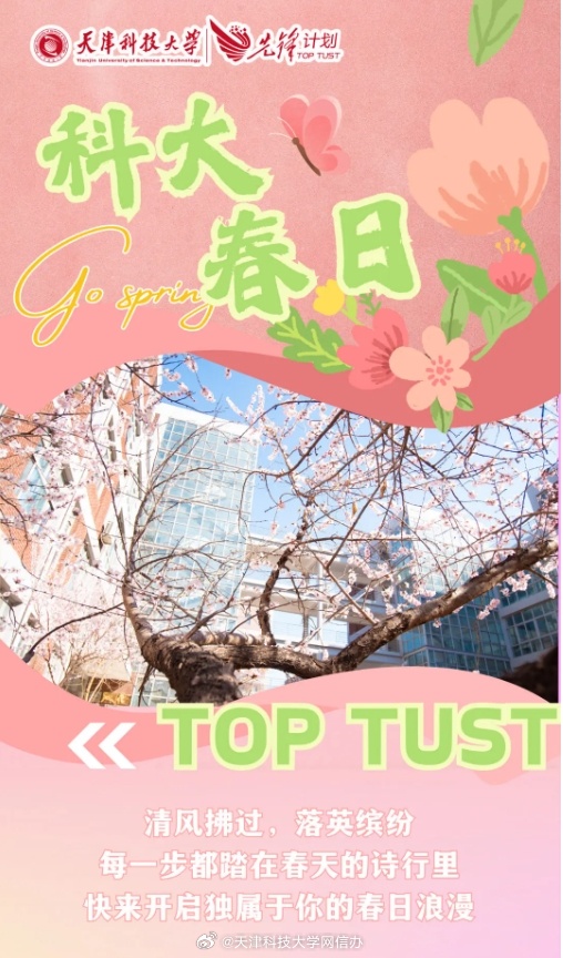 四一3科大彩，探索与揭秘，四一3科大彩探索揭秘之旅