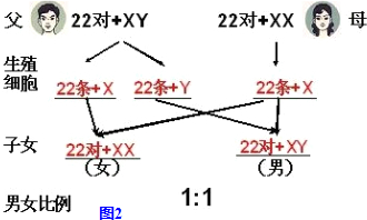 香港 第258页