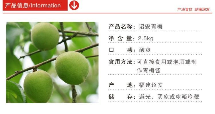 一果开新将装——引领家居装饰新潮流，一果开新将装，家居装饰新潮流的引领者