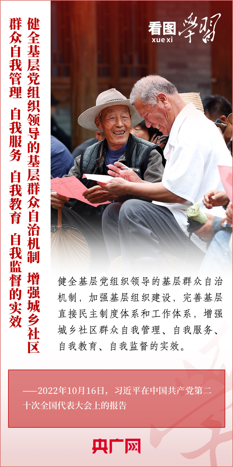 图祸习印国企王庆旗，深度解析与观察，图祸习印国企王庆旗，深度剖析与观察
