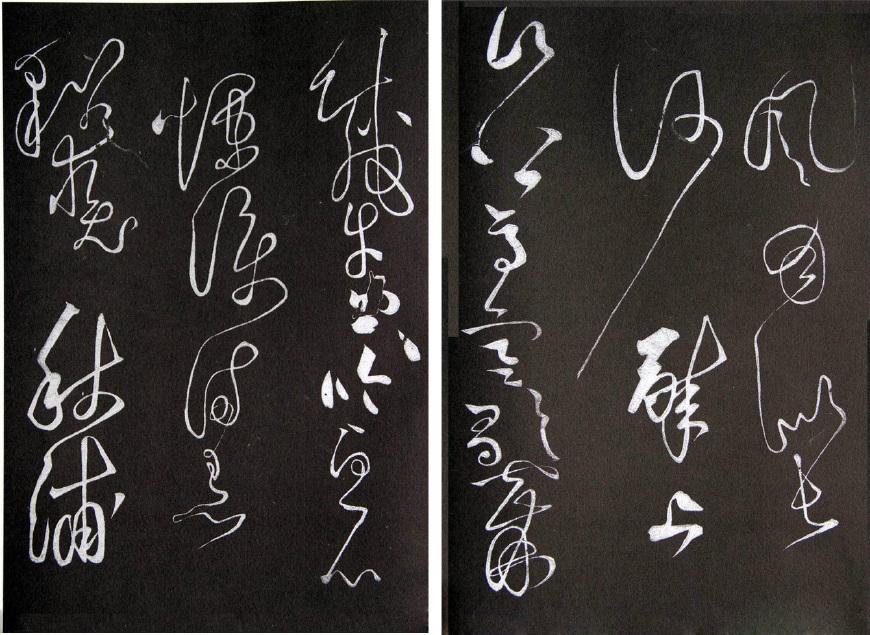 揭秘军言，0队军9战医言背后的故事，揭秘军言背后的故事，零队军九战医言传奇