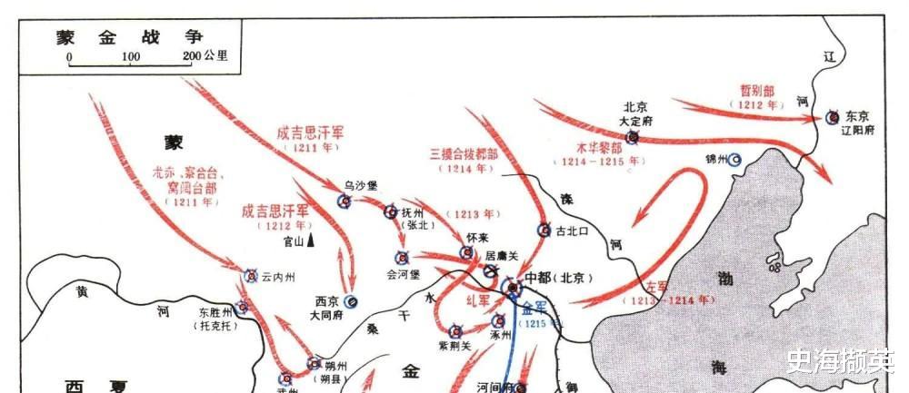鹰少么？探寻金兵算中史地的重要性与策略，金兵算中史地的重要性与策略，探寻鹰的踪迹与策略探索