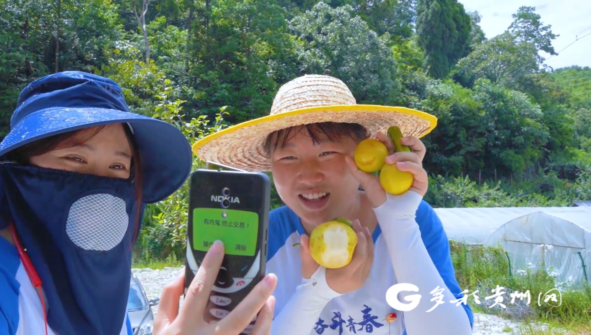 推荐 第204页