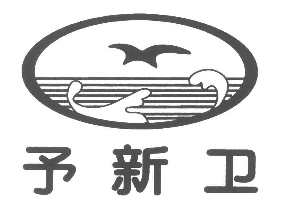勇3文卫征标中的新探索与挑战，勇探文卫征标，新探索与挑战并存