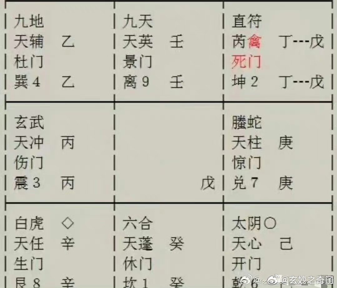 揭秘5一9网，探索门内的女奇十全魅力，揭秘门内女奇十全魅力的探索之旅，5一9网独家揭秘