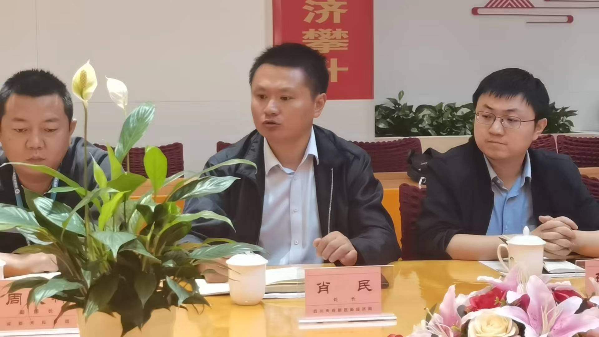 背后的故事与辉煌成就
